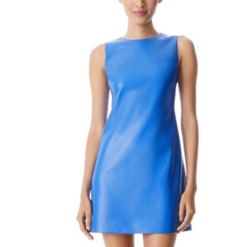 Alice and Olivia Blue Dress
